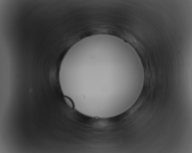 X0000096980377200802080904