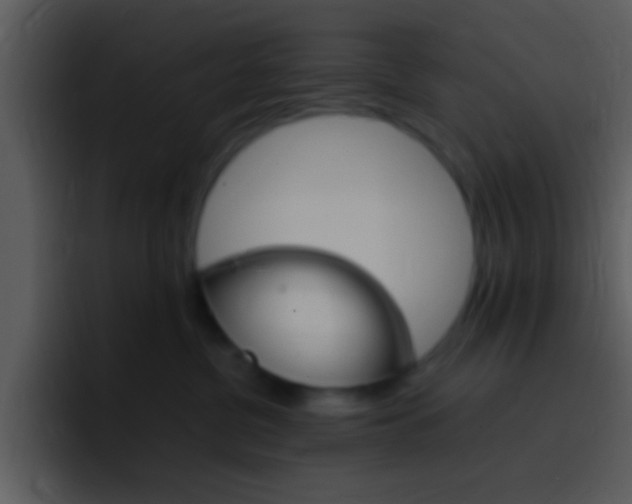X0000096980380200802080904