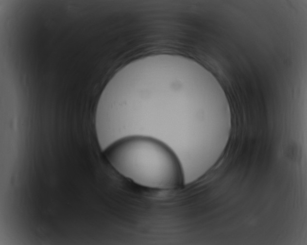X0000096980382200802080904