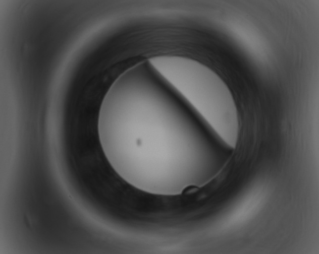 X0000096980383200802080904