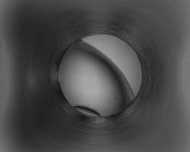 X0000096980384200802080904