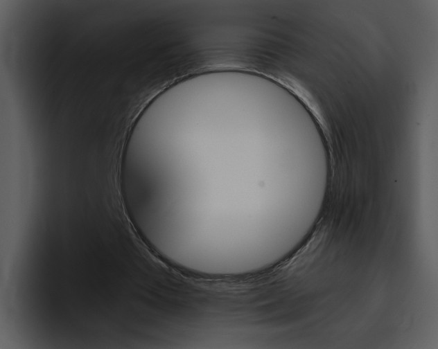 X0000096980385200802080903