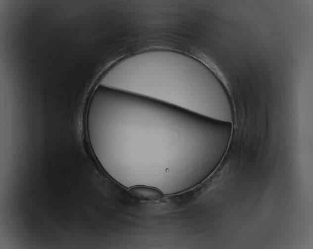 X0000096980386200802080903