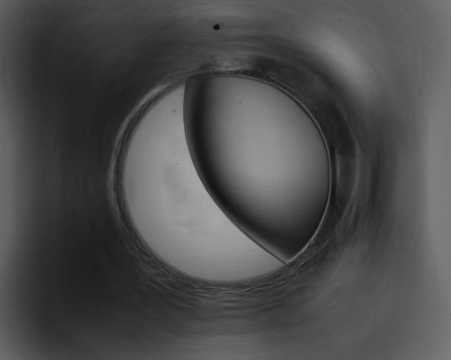 X0000096980387200802080903
