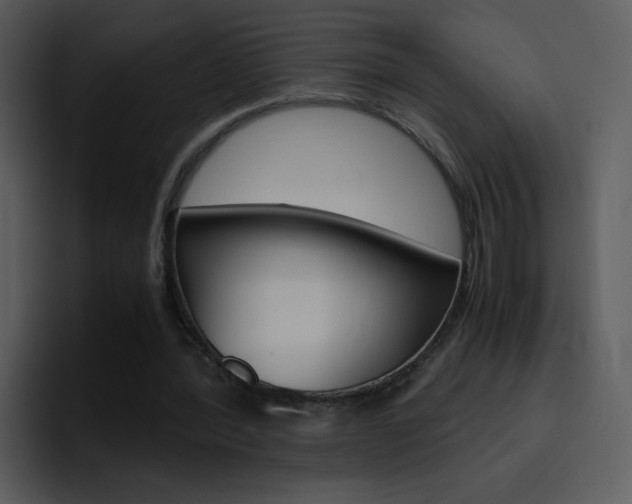 X0000096980388200802080903