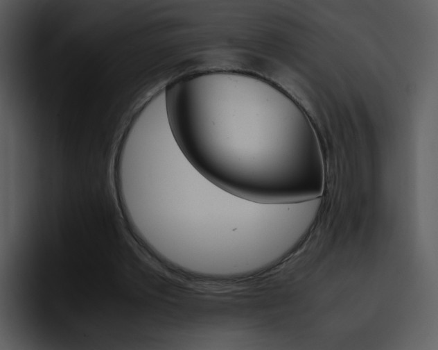X0000096980389200802080903