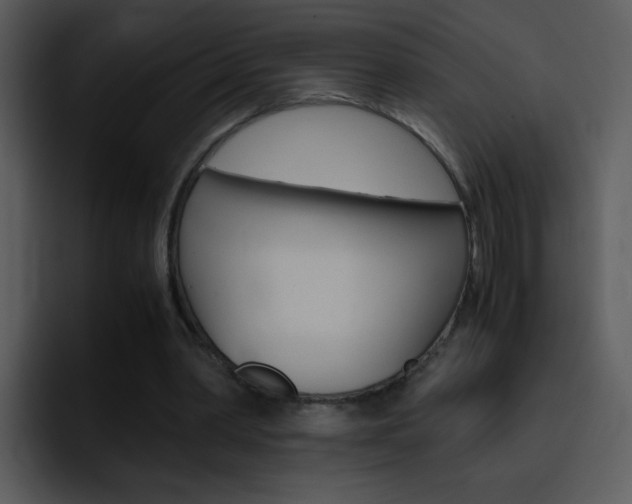 X0000096980390200802080903