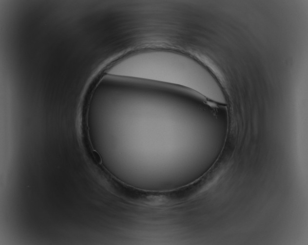 X0000096980391200802080903