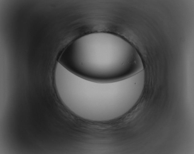 X0000096980393200802080903