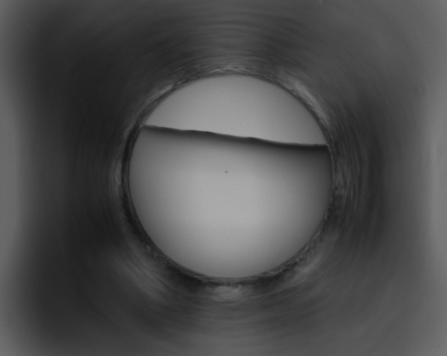 X0000096980394200802080903