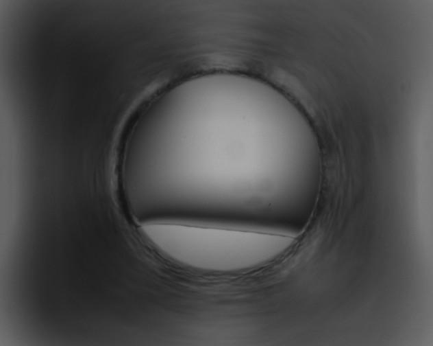 X0000096980395200802080903