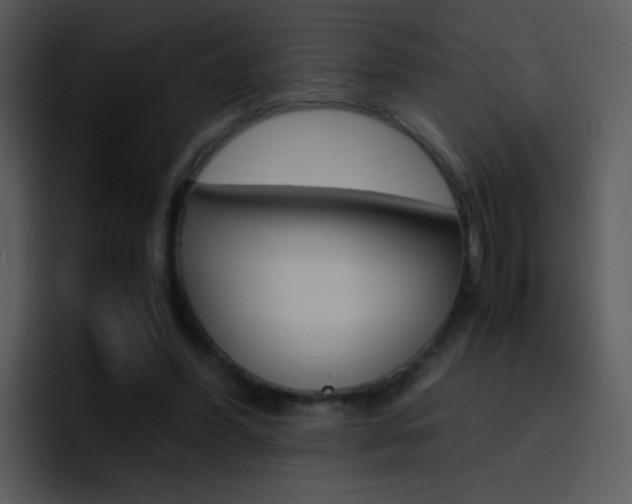 X0000096980396200802080903