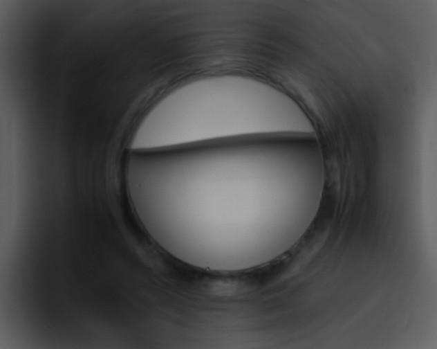 X0000096980400200802080903