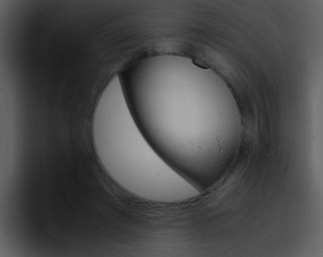 X0000096980401200802080903