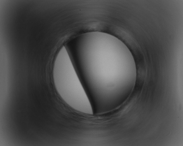 X0000096980403200802080903
