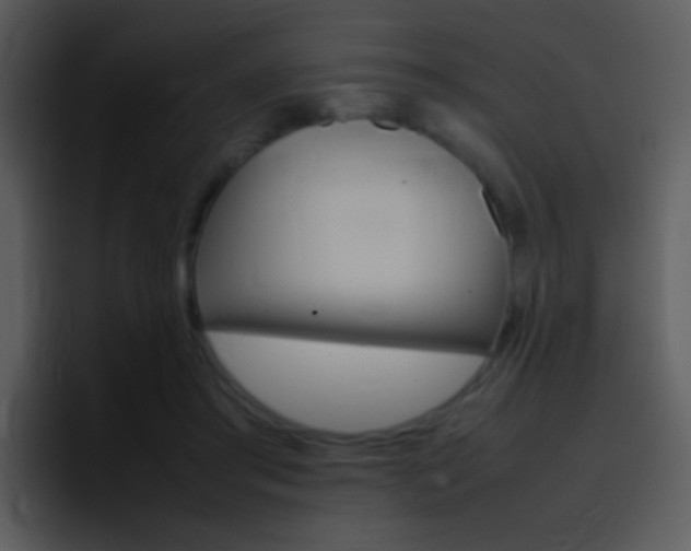 X0000096980405200802080903