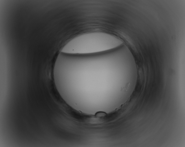 X0000096980406200802080903