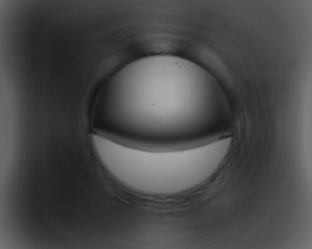 X0000096980407200802080903