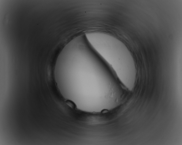 X0000096980408200802080903
