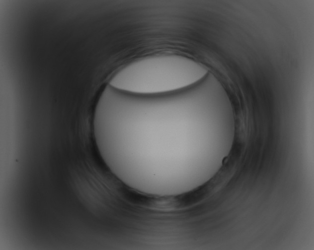 X0000096980410200802080903