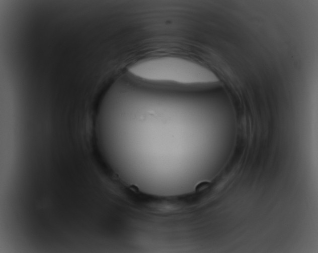 X0000096980412200802080903