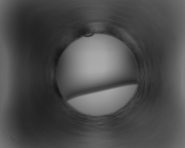 X0000096980417200802080903