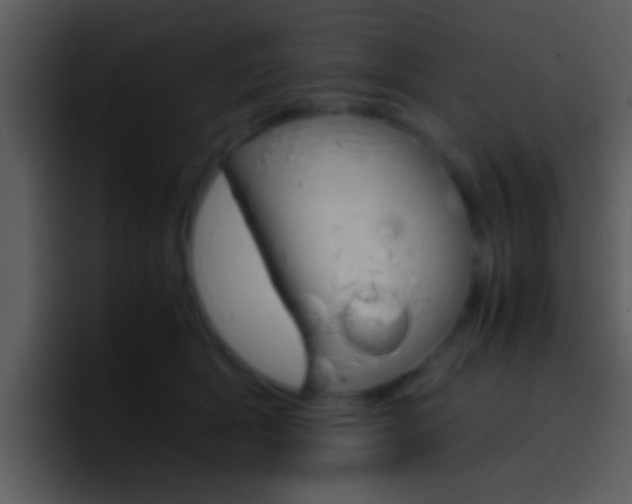 X0000096980418200802080903