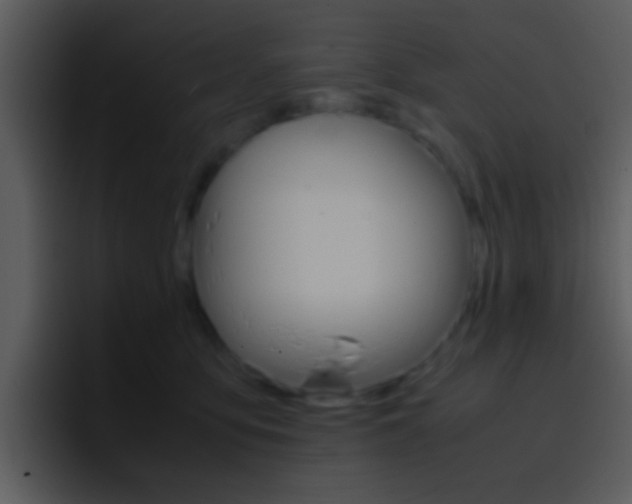 X0000096980419200802080903