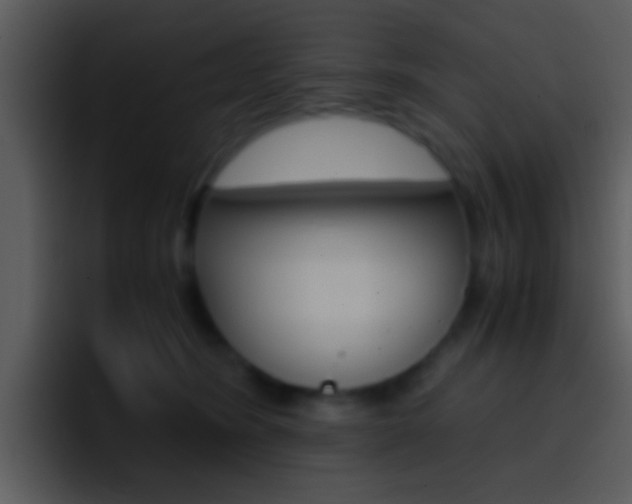 X0000096980420200802080903