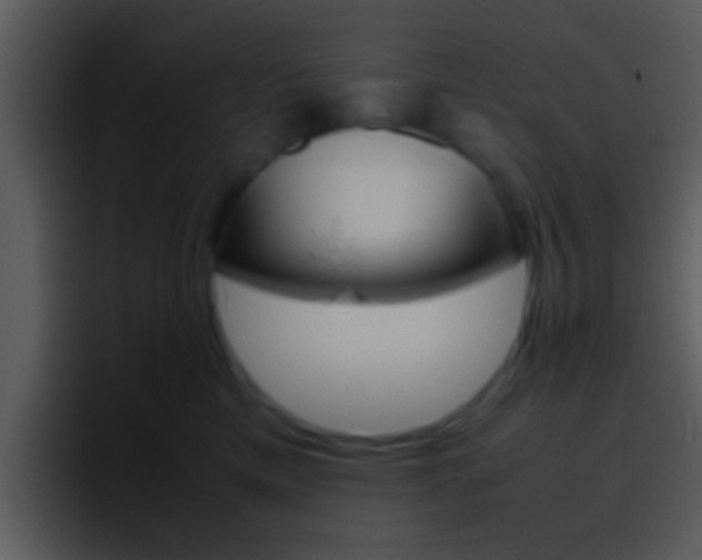 X0000096980425200802080903
