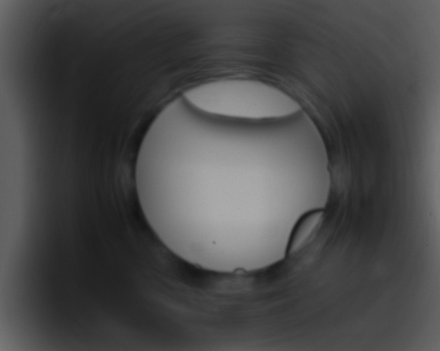 X0000096980426200802080903