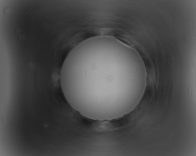 X0000096980427200802080903