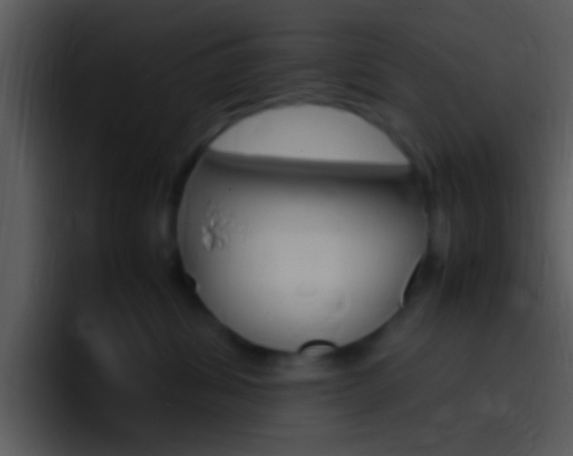 X0000096980428200802080903