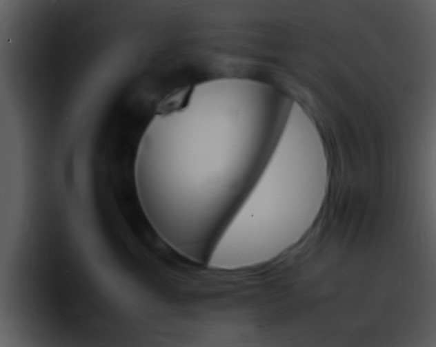 X0000096980429200802080903
