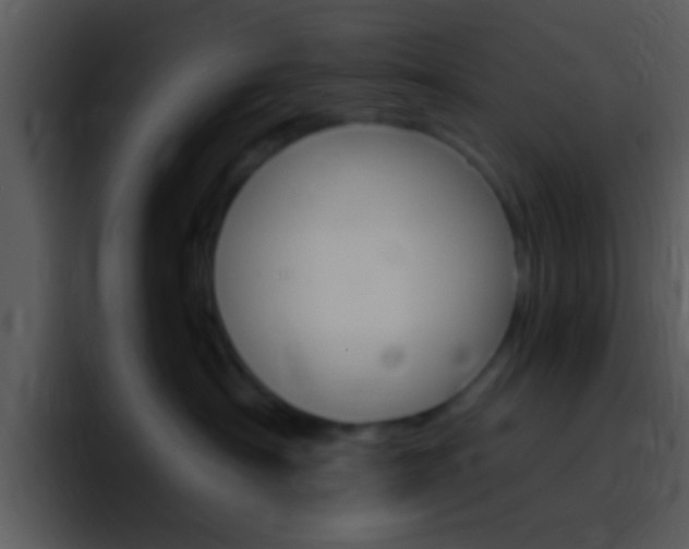 X0000096980430200802080903