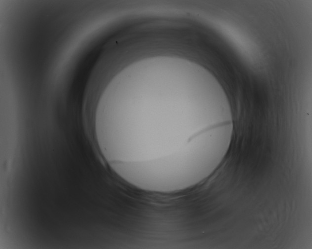 X0000096980431200802080903