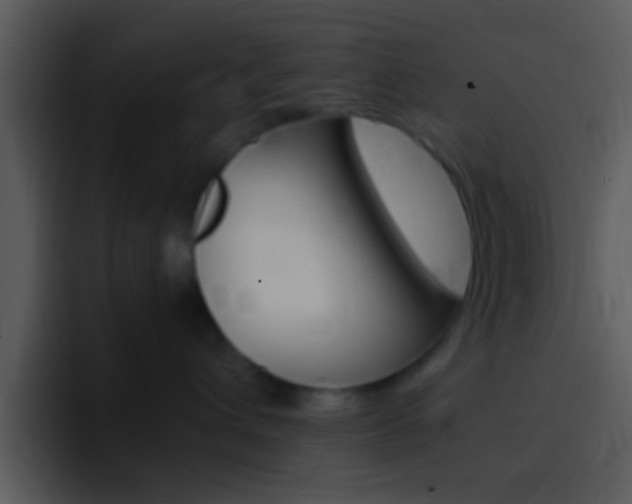 X0000096980432200802080903