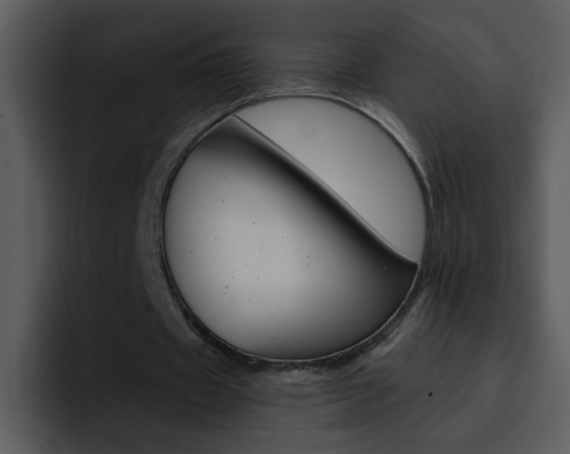 X0000096980433200802080902