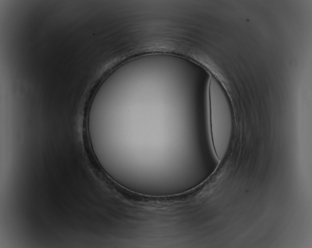 X0000096980434200802080902