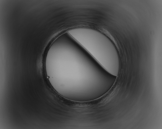 X0000096980435200802080902