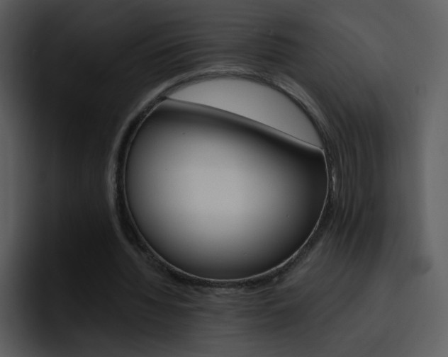 X0000096980436200802080902
