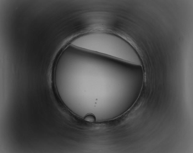 X0000096980438200802080902