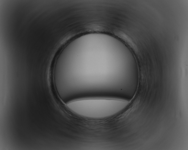 X0000096980439200802080902