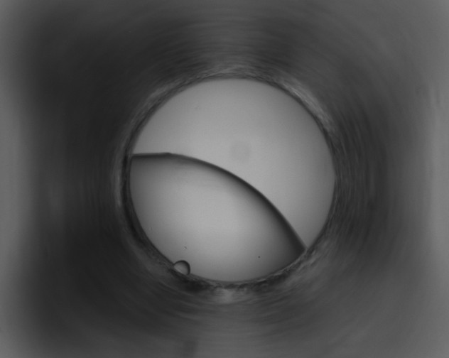 X0000096980442200802080902