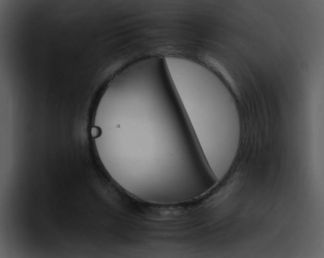 X0000096980443200802080902