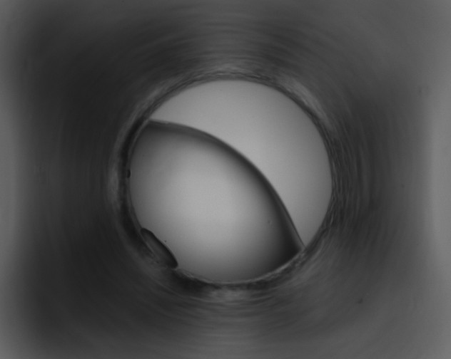 X0000096980444200802080902