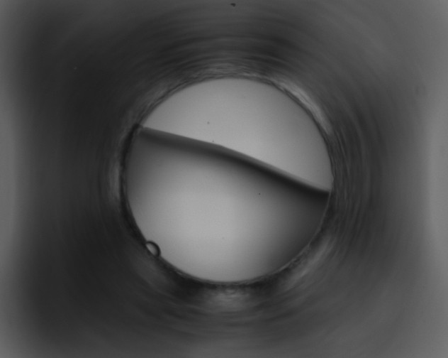 X0000096980445200802080902