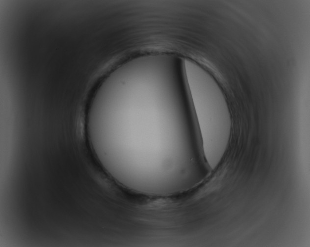 X0000096980446200802080902