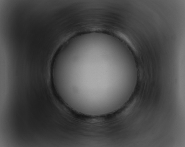 X0000096980447200802080902