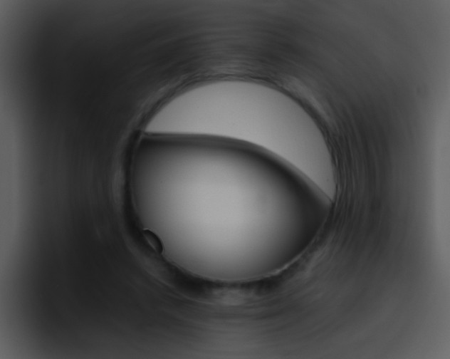 X0000096980448200802080902